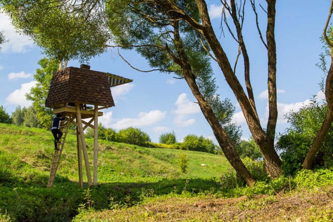 Wild Thing, Riga Technical University, Riga Technical University International Summer School, architecture, student projects, treehouse, rewilding, tiny cabins, bird hide, revegetation, Latvia, recycled building materials, wood, wooden structures, Wild Thing cabin in Latvian meadow,