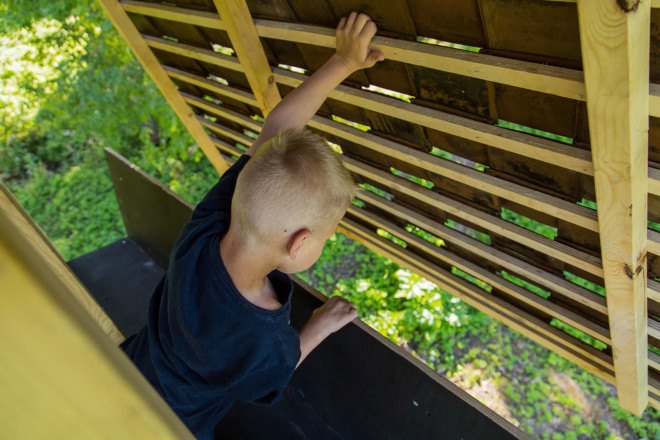 Wild Thing, Riga Technical University, Riga Technical University International Summer School, architecture, student projects, treehouse, rewilding, tiny cabins, bird hide, revegetation, Latvia, recycled building materials, wood, wooden structures, Wild Thing cabin in Latvian meadow,