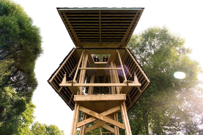 Wild Thing, Riga Technical University, Riga Technical University International Summer School, architecture, student projects, treehouse, rewilding, tiny cabins, bird hide, revegetation, Latvia, recycled building materials, wood, wooden structures, Wild Thing cabin in Latvian meadow,