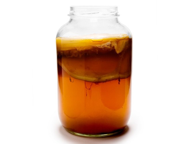 space kombucha, kombucha in space, esa, european space agency, international space station, expose space studies, scoby, cellulose biofilm, space technology