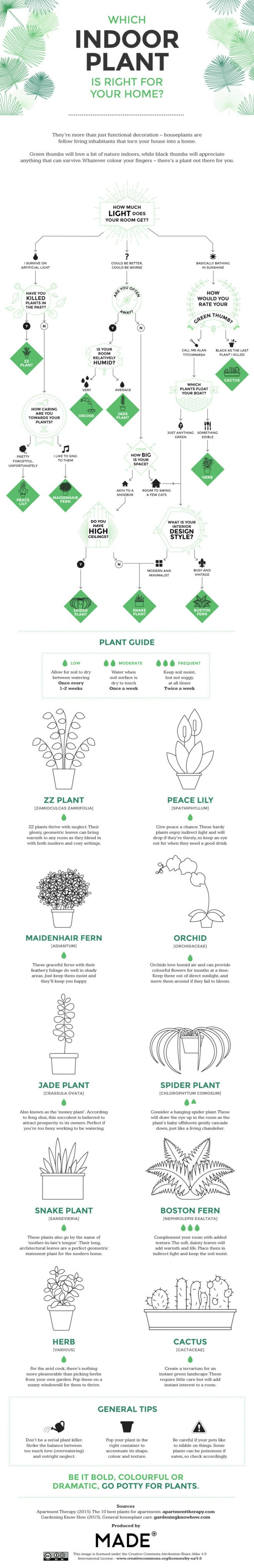 indoor plants, house plants, plant purifiers, air purifiers, houseplants, cleaning the air, speeding healing, infographic, neomam, moade.com, gardening