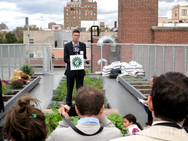 Michael Arad, 5th Street Farms, Green Roof on top of the Earth School, school green roof, earth school green roof, east village green roof, 5th Street Farms, Michael Arad