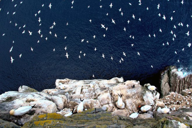 British Wildlife Photography Awards, photography, wildlife photography, nature photography, animals, wildlife, photography contest, photography exhibit, photos of the UK's natural world