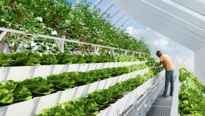 Edenworks, edible brooklyn, urban farming, nyc farmlab, vertical farming, nyc farming, farm supply, urban farming, rooftop gardens, urban gardening, green design, eco design, composting, Brooklyn gardens, outdoor gardening,
