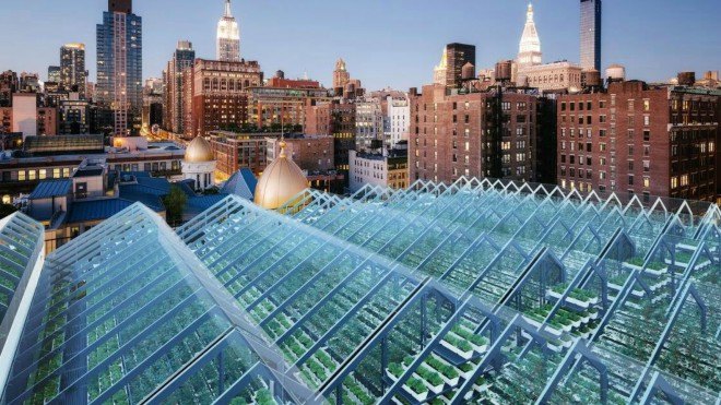 Edenworks, edible brooklyn, urban farming, nyc farmlab, vertical farming, nyc farming, farm supply, urban farming, rooftop gardens, urban gardening, green design, eco design, composting, Brooklyn gardens, outdoor gardening,