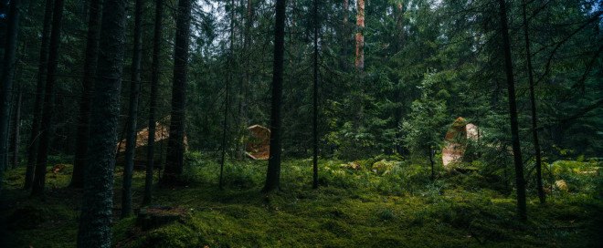 wooden megaphone, Tõnu Tunnel, Birgit Õigus, Pähni Nature Centre, estonian academy of the arts, megaphones in the woods, forest megaphones