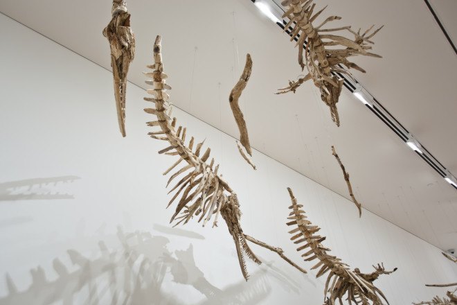 Jonathan Latiano, baiji, Baiji dolphins, Chinese dolphins, freshwater dolphins, dolphin extinction, species extinction, extinction, animal-inspired installation, Baltimore Museum of Art, Yangtze River, China, art, driftwood, driftwood installation, driftwood art