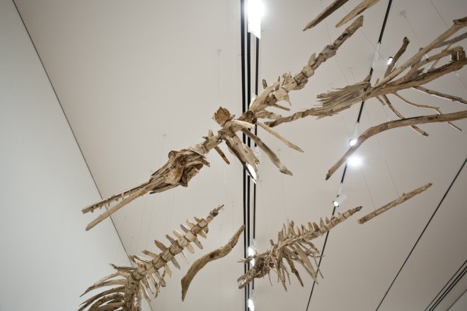 Jonathan Latiano, baiji, Baiji dolphins, Chinese dolphins, freshwater dolphins, dolphin extinction, species extinction, extinction, animal-inspired installation, Baltimore Museum of Art, Yangtze River, China, art, driftwood, driftwood installation, driftwood art