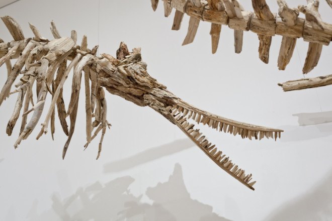 Jonathan Latiano, baiji, Baiji dolphins, Chinese dolphins, freshwater dolphins, dolphin extinction, species extinction, extinction, animal-inspired installation, Baltimore Museum of Art, Yangtze River, China, art, driftwood, driftwood installation, driftwood art