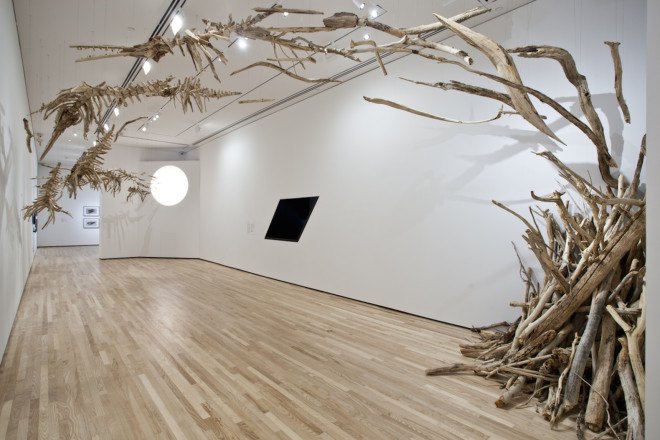 Jonathan Latiano, baiji, Baiji dolphins, Chinese dolphins, freshwater dolphins, dolphin extinction, species extinction, extinction, animal-inspired installation, Baltimore Museum of Art, Yangtze River, China, art, driftwood, driftwood installation, driftwood art