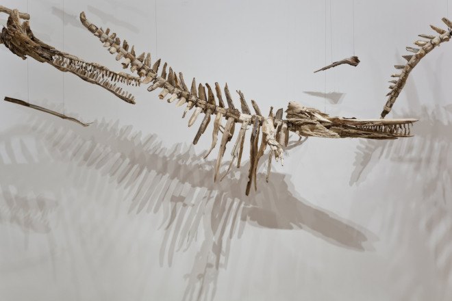 Jonathan Latiano, baiji, Baiji dolphins, Chinese dolphins, freshwater dolphins, dolphin extinction, species extinction, extinction, animal-inspired installation, Baltimore Museum of Art, Yangtze River, China, art, driftwood, driftwood installation, driftwood art