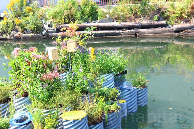 floating landscape, urban design, green design, growonus, gowanus canal, gowanus canal cleanup, balmori associates, urban gardens, phytoremediation, natural dyes