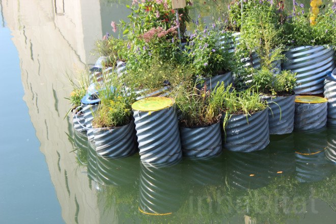 floating landscape, urban design, green design, growonus, gowanus canal, gowanus canal cleanup, balmori associates, urban gardens, phytoremediation, natural dyes