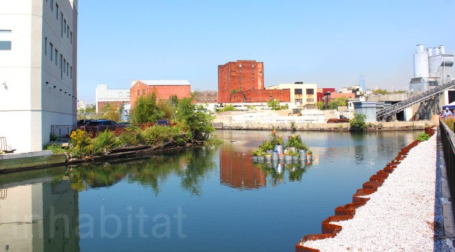 floating landscape, urban design, green design, growonus, gowanus canal, gowanus canal cleanup, balmori associates, urban gardens, phytoremediation, natural dyes