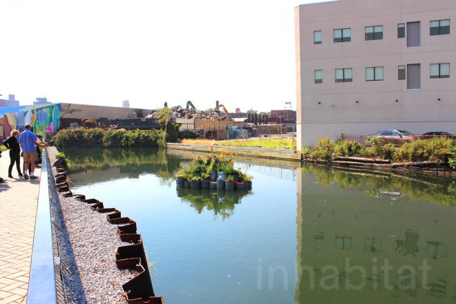 floating landscape, urban design, green design, growonus, gowanus canal, gowanus canal cleanup, balmori associates, urban gardens, phytoremediation, natural dyes