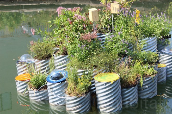 floating landscape, urban design, green design, growonus, gowanus canal, gowanus canal cleanup, balmori associates, urban gardens, phytoremediation, natural dyes