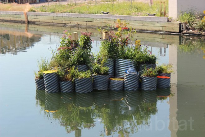 floating landscape, urban design, green design, growonus, gowanus canal, gowanus canal cleanup, balmori associates, urban gardens, phytoremediation, natural dyes