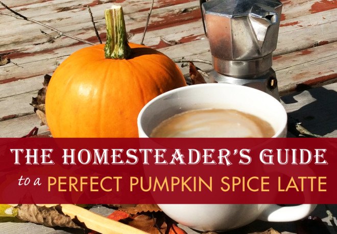 pumpkin spice latte, homemade pumpkin spice latte, homesteader, homesteading, pumpkin, pumpkin spice, latte, fall, autumn