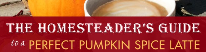pumpkin spice latte, homemade pumpkin spice latte, homesteader, homesteading, pumpkin, pumpkin spice, latte, fall, autumn