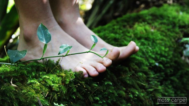 Moss Carpet, Moss Carpet by Nection Design, Nection Designer, Moss carpet kickstarter, moss, bathmat, living moss carpet, living carpet, moss furniture, kickstarter, recycled foam,