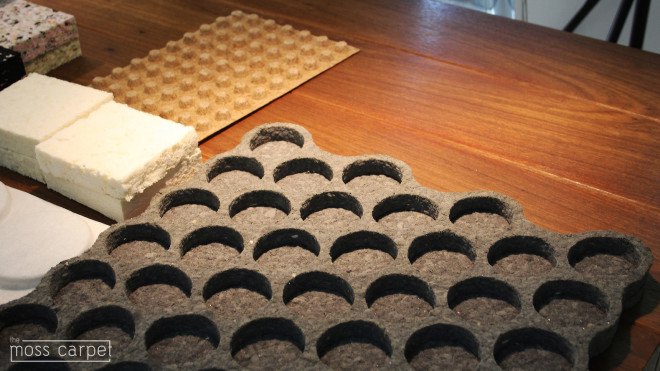 Moss Carpet, Moss Carpet by Nection Design, Nection Designer, Moss carpet kickstarter, moss, bathmat, living moss carpet, living carpet, moss furniture, kickstarter, recycled foam,