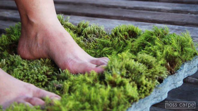 Moss Carpet, Moss Carpet by Nection Design, Nection Designer, Moss carpet kickstarter, moss, bathmat, living moss carpet, living carpet, moss furniture, kickstarter, recycled foam,