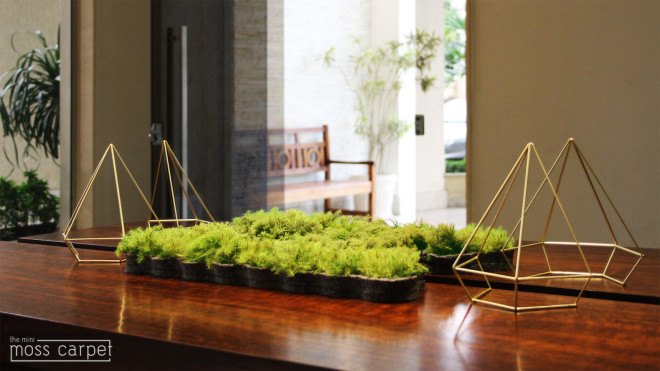 Moss Carpet, Moss Carpet by Nection Design, Nection Designer, Moss carpet kickstarter, moss, bathmat, living moss carpet, living carpet, moss furniture, kickstarter, recycled foam,
