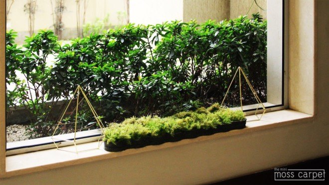 Moss Carpet, Moss Carpet by Nection Design, Nection Designer, Moss carpet kickstarter, moss, bathmat, living moss carpet, living carpet, moss furniture, kickstarter, recycled foam,