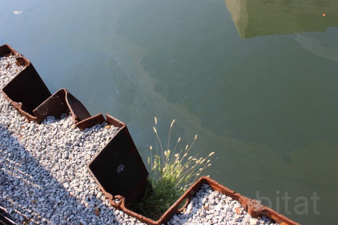 floating landscape, urban design, green design, growonus, gowanus canal, gowanus canal cleanup, balmori associates, urban gardens, phytoremediation, natural dyes