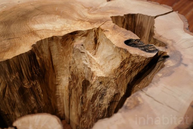max lamb, my grandfather's tree, tree art, green design, london design festival, ldf15, eco design, eco art, somerset house, jon turnbull, tree surgeon, ash tree, london design week, london design festival, london, my grandfather's tree by max lamb