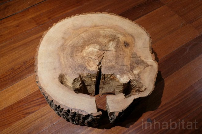 max lamb, my grandfather's tree, tree art, green design, london design festival, ldf15, eco design, eco art, somerset house, jon turnbull, tree surgeon, ash tree, london design week, london design festival, london, my grandfather's tree by max lamb