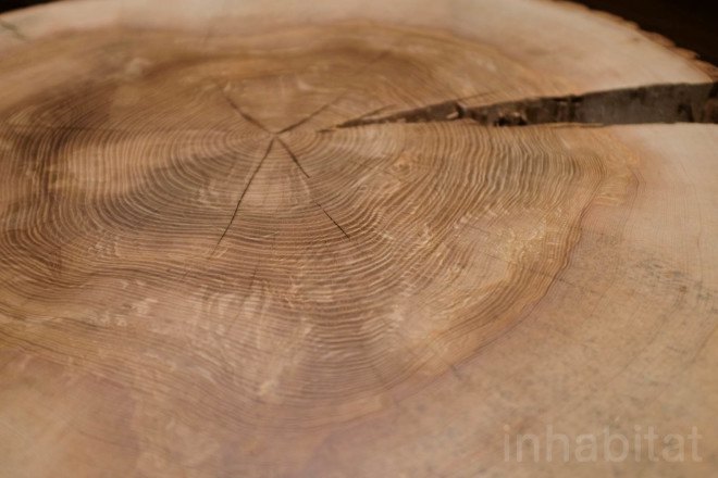 max lamb, my grandfather's tree, tree art, green design, london design festival, ldf15, eco design, eco art, somerset house, jon turnbull, tree surgeon, ash tree, london design week, london design festival, london, my grandfather's tree by max lamb