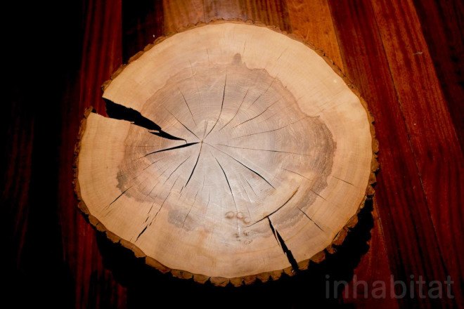 max lamb, my grandfather's tree, tree art, green design, london design festival, ldf15, eco design, eco art, somerset house, jon turnbull, tree surgeon, ash tree, london design week, london design festival, london, my grandfather's tree by max lamb
