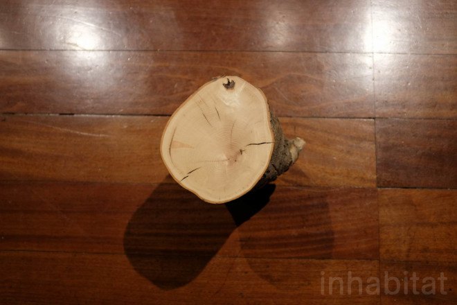 max lamb, my grandfather's tree, tree art, green design, london design festival, ldf15, eco design, eco art, somerset house, jon turnbull, tree surgeon, ash tree, london design week, london design festival, london, my grandfather's tree by max lamb