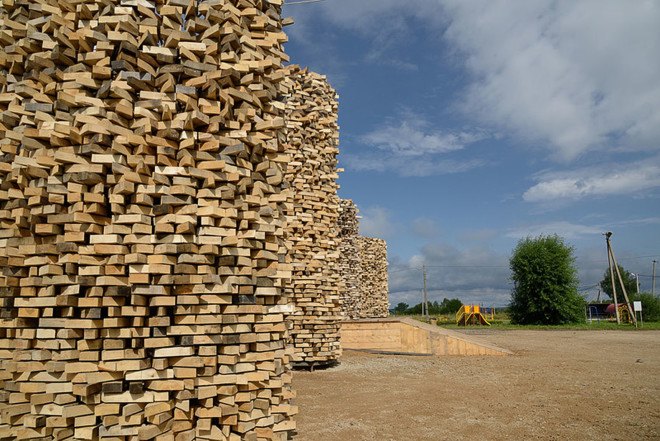 Nikolay Polissky, green art, reclaimed wood, reclaimed materials, Russia, wooden sculpture, green design, Soviet architecture, green sculpture, exhibition spaces