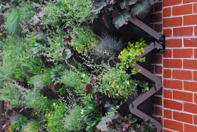 SHIFT_DESIGN, Urban Outfitters, URBN, Urban Outfitters Philadelphia headquarters, living wall, vertical green wall, vertical garden, green roof, Philadelphia, reader submitted content