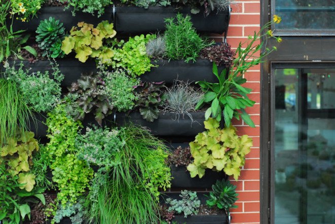 SHIFT_DESIGN, Urban Outfitters, URBN, Urban Outfitters Philadelphia headquarters, living wall, vertical green wall, vertical garden, green roof, Philadelphia, reader submitted content