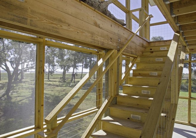wooden house, Frank Hamon, South Carolina, affordable housing, open air, sloping roof, St Helena, natural light, solar gain, natural ventilation, green architecture