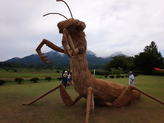 Wara art, Wara art festival, Niigata, Niigata Prefecture, dinosaur art, straw sculptures, Niigata straw sculptures, recycled straw art, straw art, Uwasekigata Park
