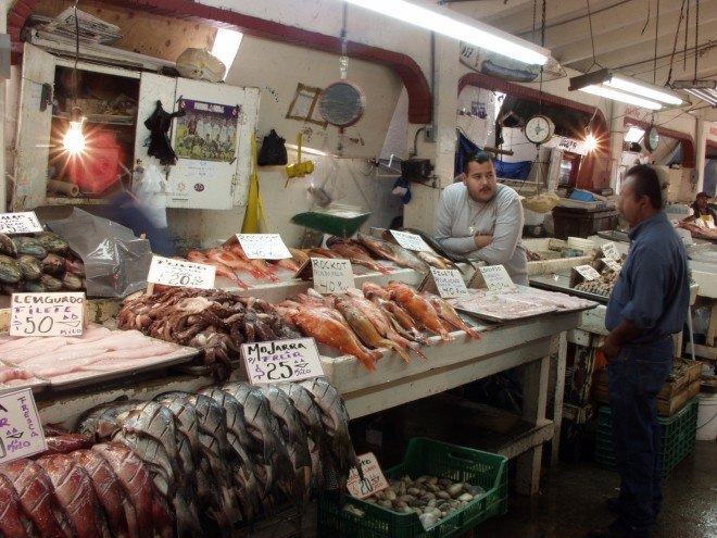 fish, conservation, oceans, pollution, ocean garbage, fish contamination, scientific study, waste management, California, Indonesia, fisheries, fish management