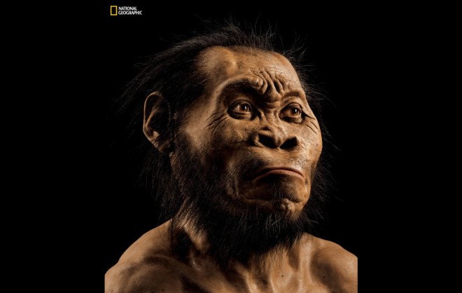 ancient humans, ancient man, hominid, hominins, homo naledi, south africa, human fossils, paleontology discoveries, new evidence of ancient humans, new discovery of human fossils, largest human fossil find in africa