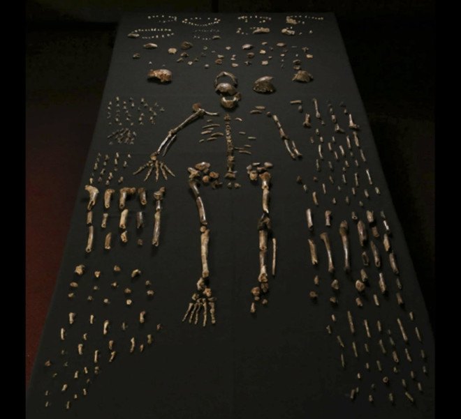 ancient humans, ancient man, hominid, hominins, homo naledi, south africa, human fossils, paleontology discoveries, new evidence of ancient humans, new discovery of human fossils, largest human fossil find in africa
