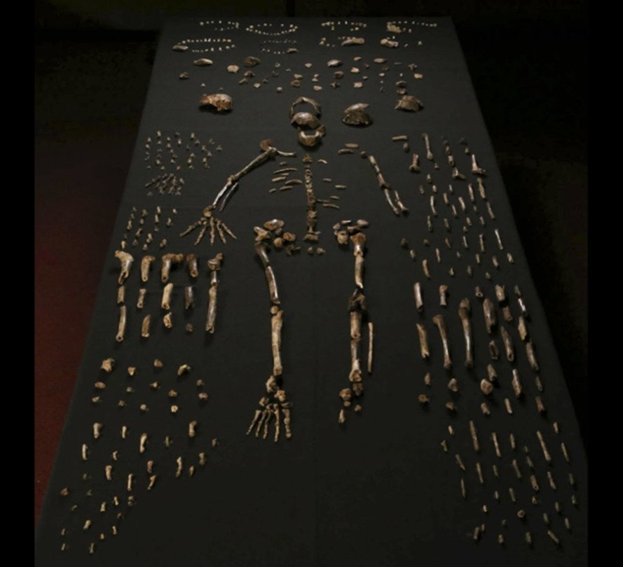 ancient humans, ancient man, hominid, hominins, homo naledi, south africa, human fossils, paleontology discoveries, new evidence of ancient humans, new discovery of human fossils, largest human fossil find in africa