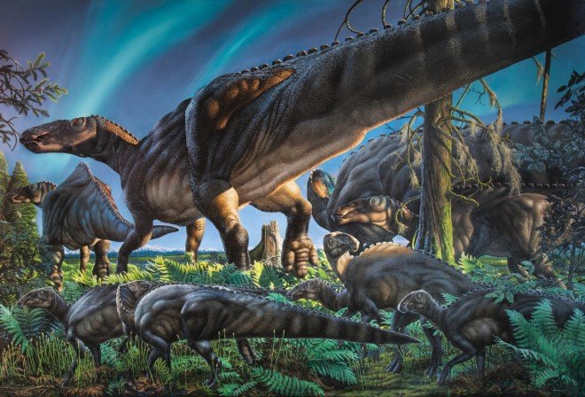 polar dinosaur, hadrosaur discovery, dinosaur Alaska
