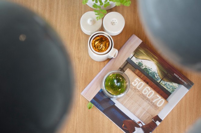Botanica Boutique, Kickstarter, mossarium, moss, Sanctuary, reader submitted content,