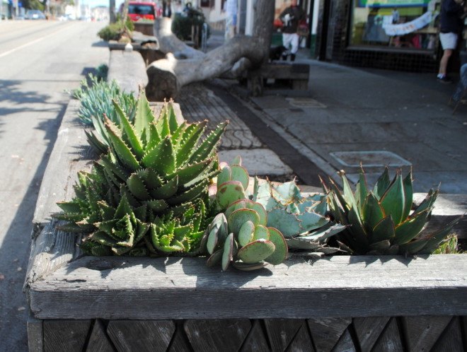 parklet, san francisco, urbanism, parking day, public space, urban design, succulents, seating, sidewalk, pop-up