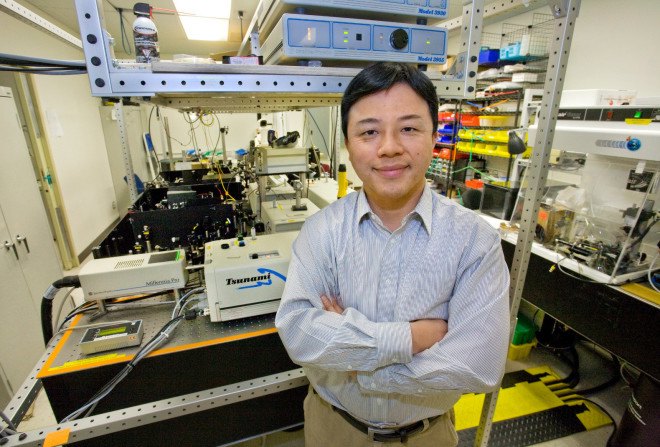 invisibility cloak, cloaking device, Xiang Zhang group, Berkeley Lab, UC Berkeley, gold antennas, reflecting light