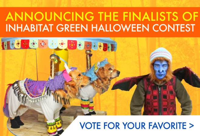Green costume contest, DIY halloween costume, Inhabitat green halloween costume contest, Inhabitat 2015 halloween costume contest, DIY halloween costumes, DIY halloween costume contest, diy, diy costume, halloween costume, diy costume ideas, halloween costume ideas, halloween contest, vanmoof, win a vanmoof bike