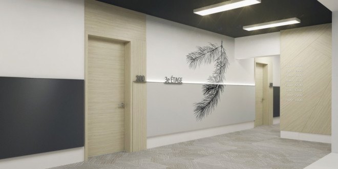 cross-laminated timber, Griffintown, Arbora, Montreal, LEED Platinum, LSR GesDev, Sotramont, Lemay+CHA, Nordic, CLT, cross-laminated timber architecture, Arbora by Lemay+CHA,