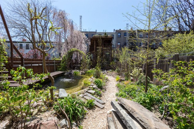 carroll gardens, brooklyn, treehouse, gennaro brooks-church, green building, reclaimed materials, natural pool, natural swimming pool, chemical-free pool, airbnb, brownstone, renovated brownstone, brownstone for rent